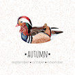 duck autumn print