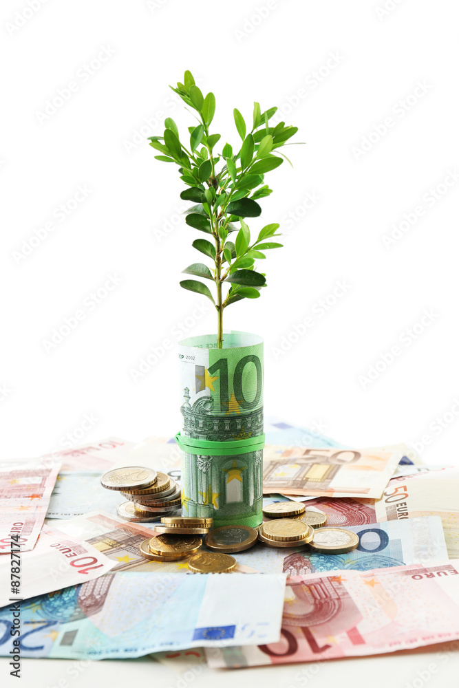 Money with growing sprout isolated on white
