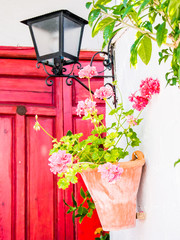 Wall Mural - Flowers