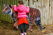 Little girl petting Sumatran Tiger