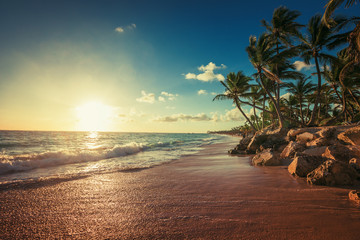 Landscape of paradise tropical island beach