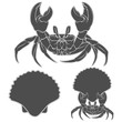 Set of black and white vector illustrations with crab and shell. Isolated vector objects on a white background.