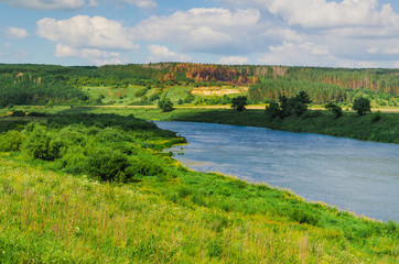 Wall Mural - stream river flows on green dale