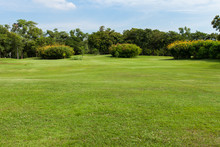 Green Grass Field In Public Park