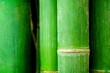 real bamboo . . . 