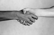 © FlavioRossato - Handshake between friends