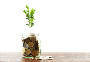 Poster - Money with growing sprout in glass jar on table isolated on white