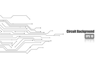 Fototapete - Vector : Electronic circuit on white background