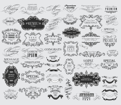 calligraphic floral design elements.