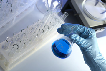 Wall Mural - test tube in scientist hand in laboratory