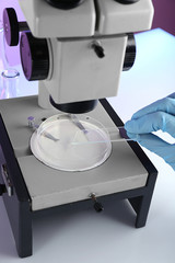 Wall Mural - scientist working with microscope in laboratory