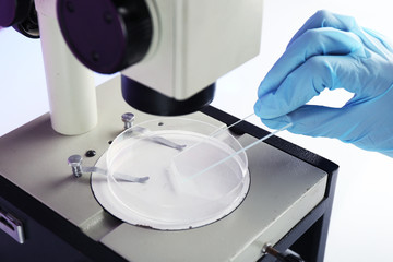 Wall Mural - scientist working with microscope in laboratory