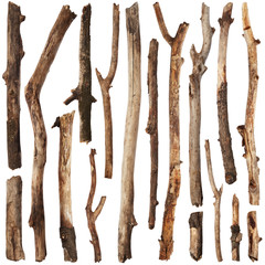 Poster - Tree branches set