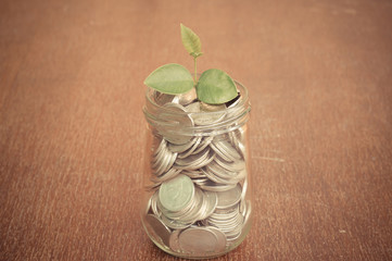 plant growing out of coins with filter effect retro vintage styl