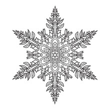 Hand-drawn Doodles Natural Snowflake. Zentangle Mandala Style.
