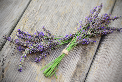 Naklejka - mata magnetyczna na lodówkę Lavendel