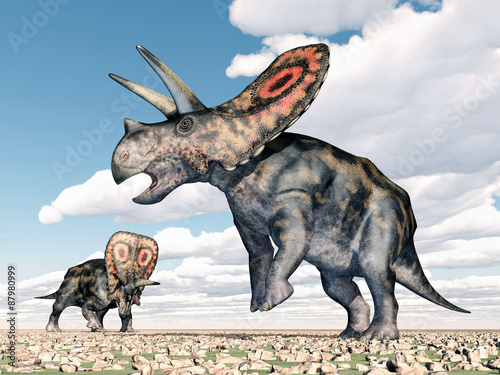 Obraz w ramie Dinosaur Torosaurus