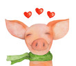 Pig Portrait in the green scarf with heart. Love. Watercolor