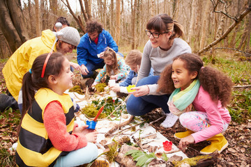 group looking for minibeasts at activity centre