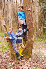 Wall Mural - Portrait Of Three Boys Playing Game In Forest