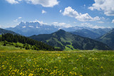 Fototapeta Góry - Beautiful summer landscape with flowers and blue sky in the French Alps ,Rhone - Alpes region