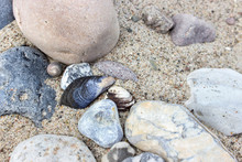 Stones And Shells / Stones And Shells In Beach Sand