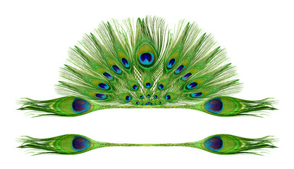 Wall Mural - Peacock feathers on white background