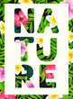 Tropical print slogan. For brochures, banners, clothes.