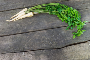 Wall Mural - Parsley roots with greens on a rustic wooden background