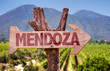Mendoza wooden sign with winery background
