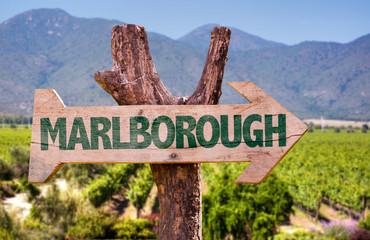 Wall Mural - Marlborough wooden sign with winery background