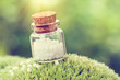 Bottle of homeopathy globules on green moss. Retro styled.