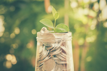 plant growing out of coins with filter effect retro vintage styl