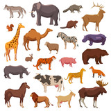Big Animals Set