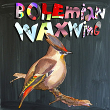 Joyous Child-s World, Mixed Media, Bird, Bohemian Waxwing