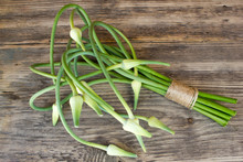 Bunches Of Freshly Picked Garlic Scape On A Wooden Table