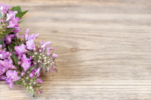 Yarrow Flower, Herbal Plants On Wooden Table With Copy Space