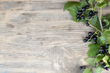 black currant and green leaves on wooden table