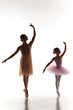 The little ballerina dancing with personal ballet teacher in