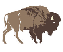 Buffalo. Hand-drawn Illustration. Design For Logo, T Shirt, Bag Etc.