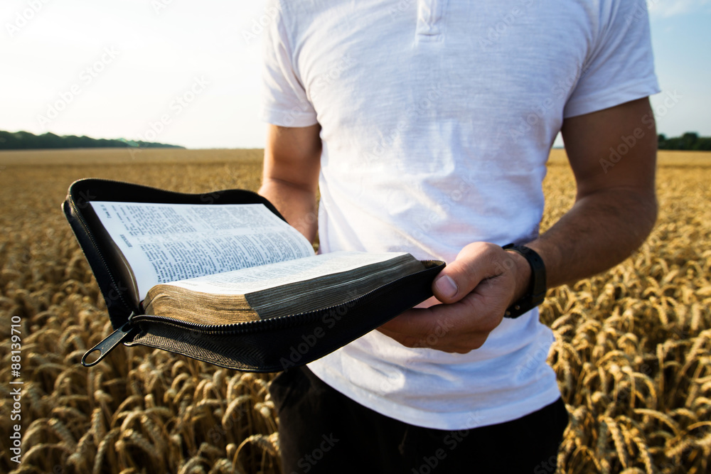 Man holding open Bible in a wheat field - obrazy, fototapety, plakaty 