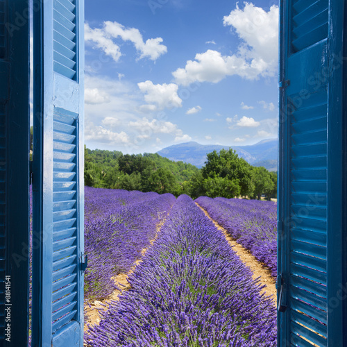 Nowoczesny obraz na płótnie Lavender field