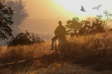 A Cowboy Rides His Horse Into The Sunset Through An Orange And Yellow Meadow With Crows Flying Above.