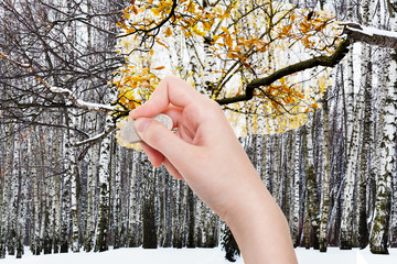 Wall Mural - hand deletes winter forest by rubber eraser