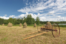 Traditional Finnish Haystacks And Hayrake In A Hayfield