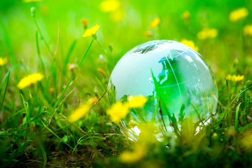 Green & Eco environment, glass globe in the garden