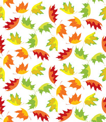 Wall Mural - Autumn leaves pattern
