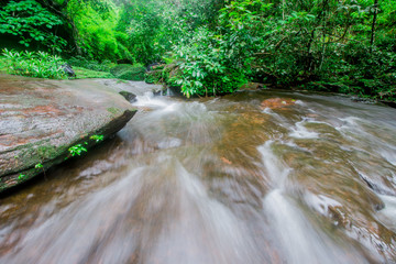 Poster - waterfall in the tropical forest.