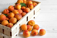 Wood Box Of Whole Orange Apricots With Red Blush On Rustic White