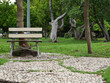 © npstockphoto - Bench in the park